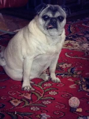 It's fine i'm fine blog