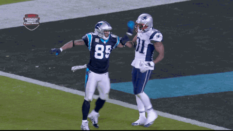 aqib-talib-steve-smith-gight-gif-new-england-patriots-carolina-panthers