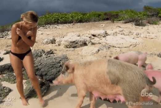 Screen Shot 2016-02-08 at 10.28.57 PM