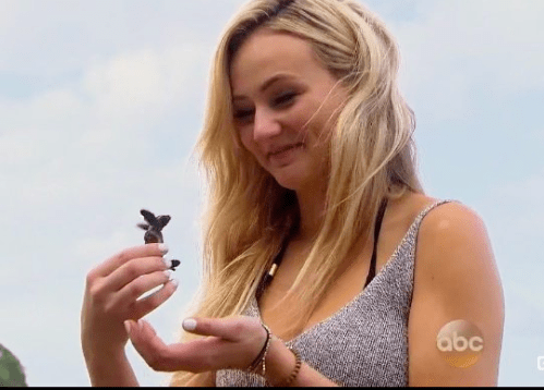 Screen Shot 2016-03-01 at 12.31.56 AM